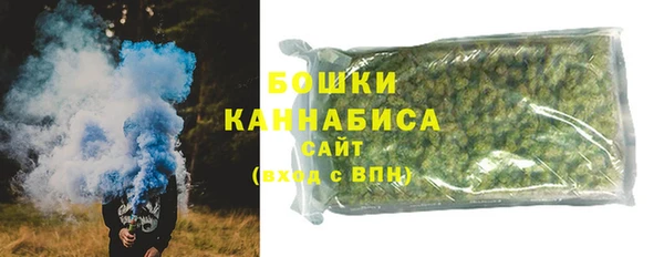 МДПВ Гусев