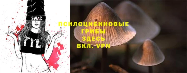 гидропоника Гусь-Хрустальный