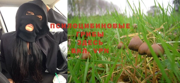 МДПВ Гусев