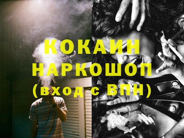 МДПВ Гусев
