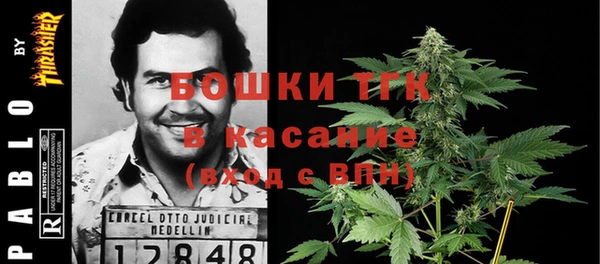 гидропоника Гусь-Хрустальный